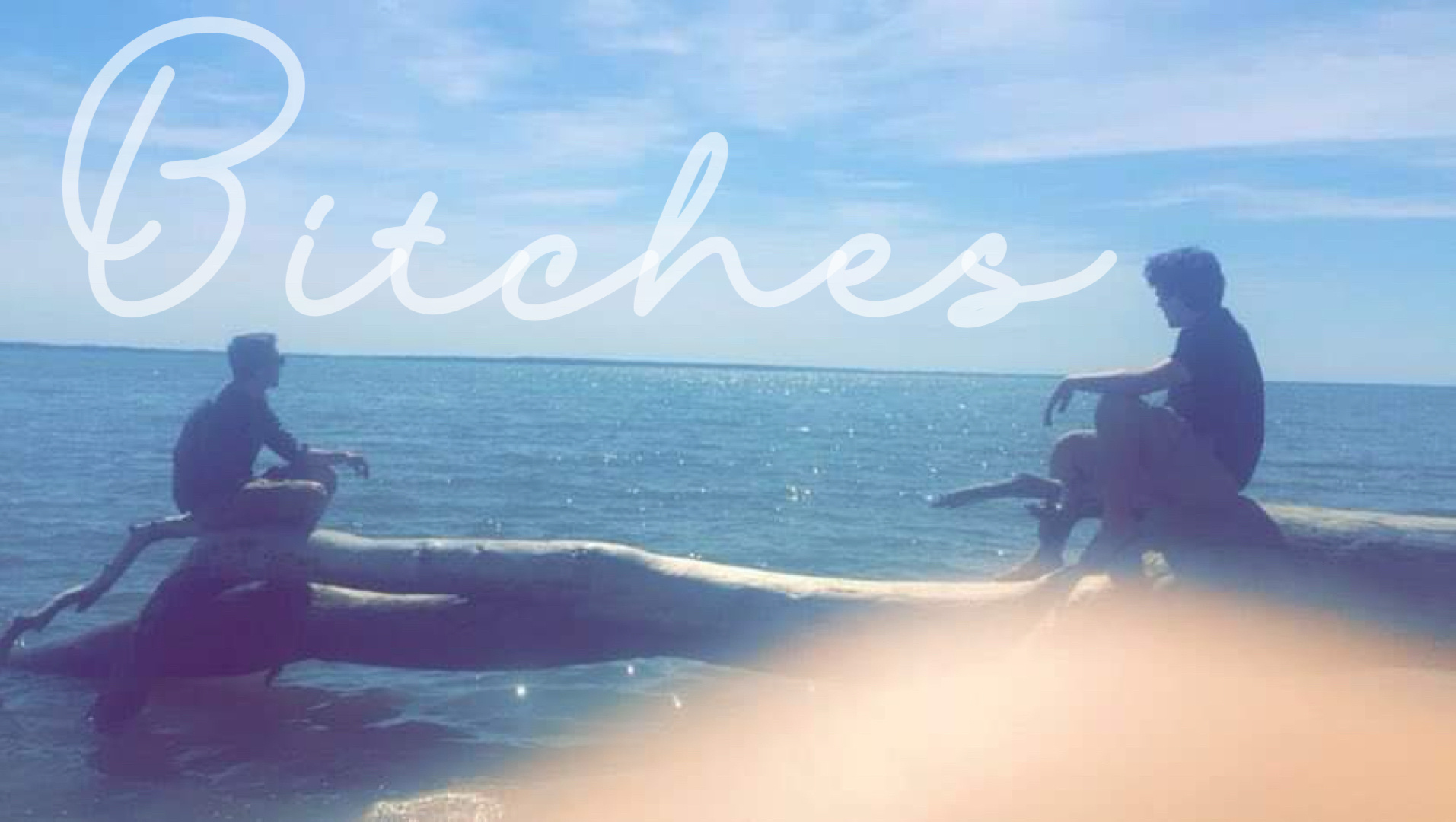 Bitches Bigbo Media Bitches